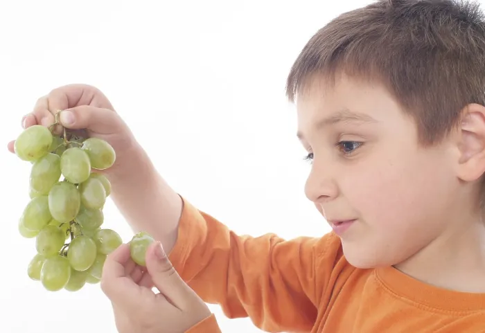 Stampa con cornice : Il ragazzo mangia uva. Stampa con cornice : Il ragazzo mangia uva.
