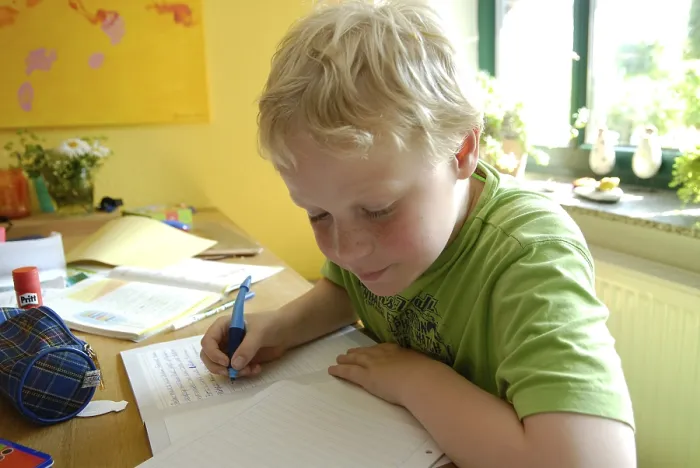 Stampa con cornice : Il ragazzo con i compiti. Stampa con cornice : Il ragazzo con i compiti.