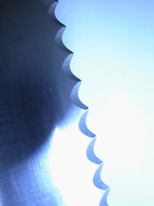 Stampa con cornice : Coltello da pane Stampa con cornice : Coltello da pane