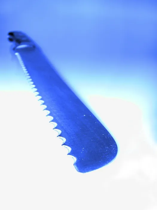 Stampa con cornice : Coltello da pane Stampa con cornice : Coltello da pane