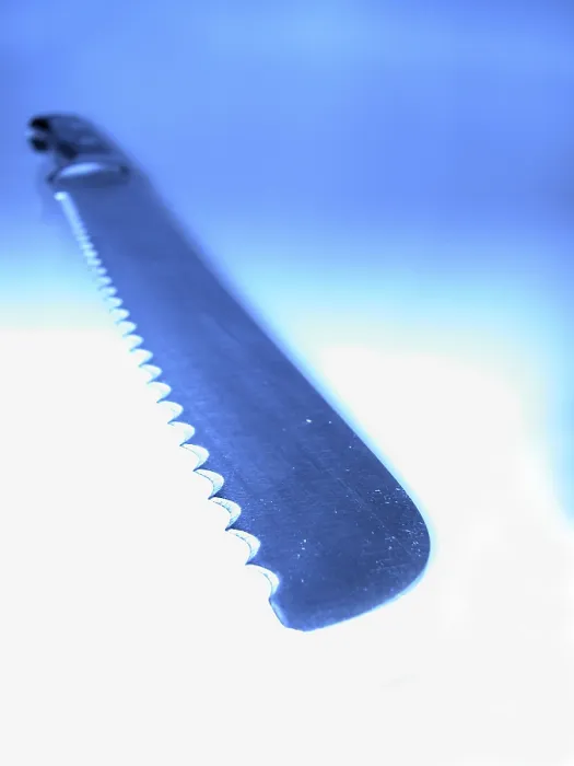 Stampa con cornice : Coltello da pane Stampa con cornice : Coltello da pane