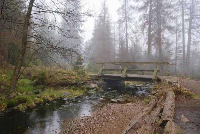 Stampa con cornice : Ponte all'Oderteich, Nebel Stampa con cornice : Ponte all'Oderteich, Nebel