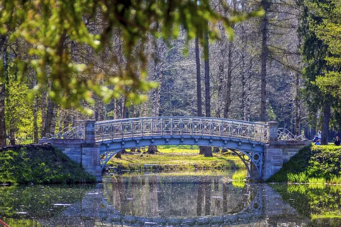 Stampa con cornice : Ponte in primavera nel parco. Stampa con cornice : Ponte in primavera nel parco.