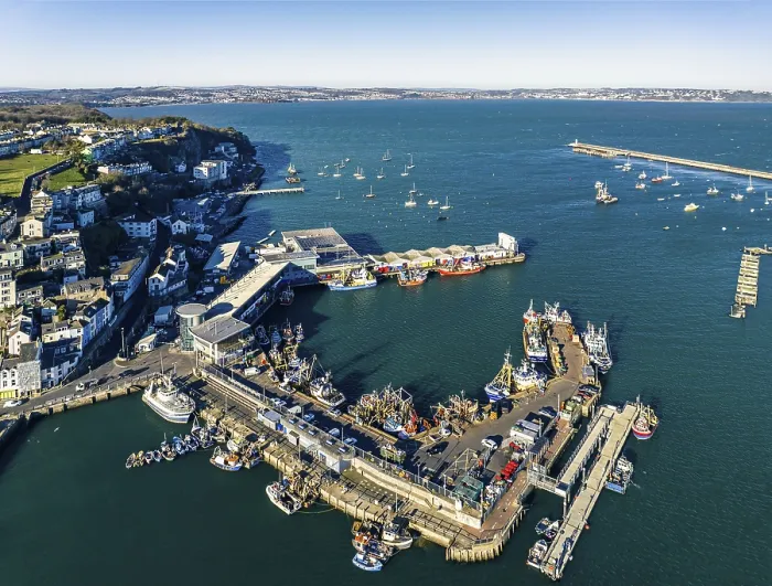 Stampa con cornice : Il porto di Brixham da un drone, Devon.