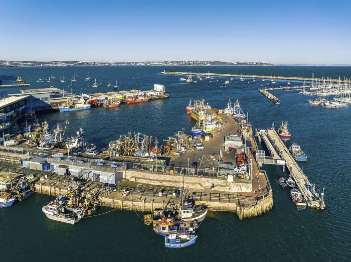 Stampa con cornice : Il porto di Brixham da un drone, Devon.