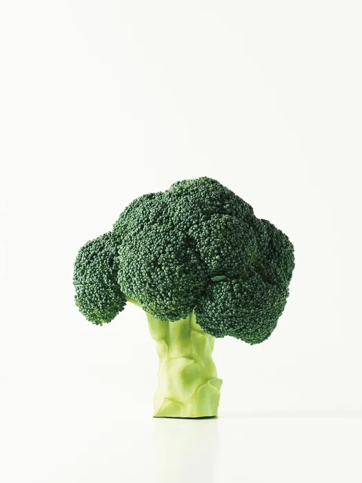 Stampa con cornice : Broccoli Stampa con cornice : Broccoli
