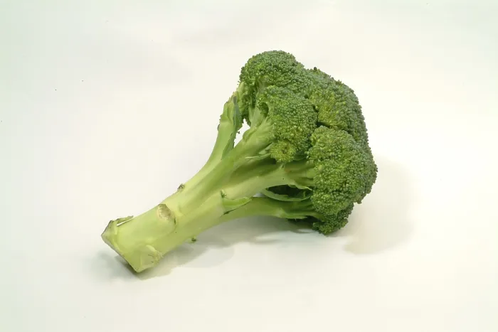 Stampa con cornice : Broccoli Stampa con cornice : Broccoli