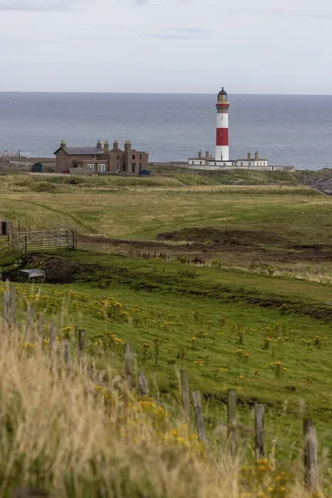 Stampa con cornice : Faro di Buchan Ness, Peterhead Stampa con cornice : Faro di Buchan Ness, Peterhead