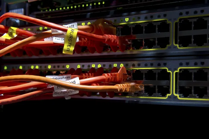 Stampa con cornice : Impianti di cavo e jack su un server internet.