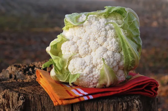 Stampa con cornice : Cauliflower Stampa con cornice : Cauliflower