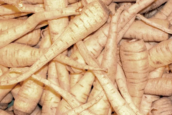 Stampa con cornice : Celery