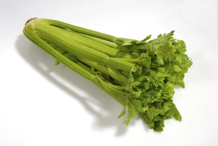 Stampa con cornice : Celery Stampa con cornice : Celery