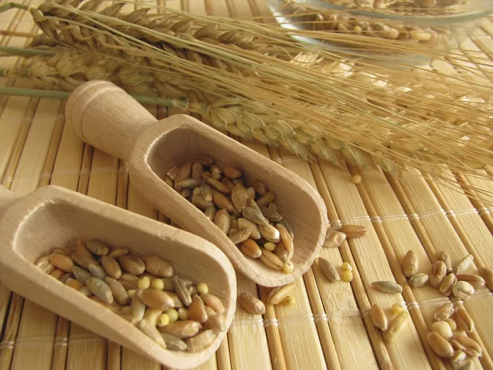 Stampa con cornice : Misto di cereali. Stampa con cornice : Misto di cereali.
