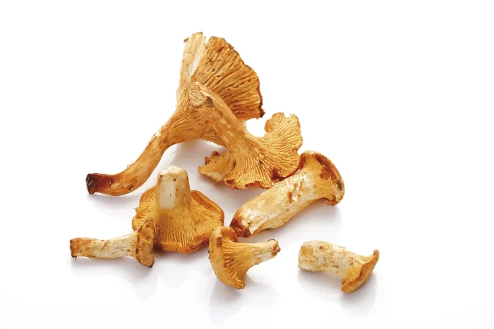 Stampa con cornice : Chanterelles