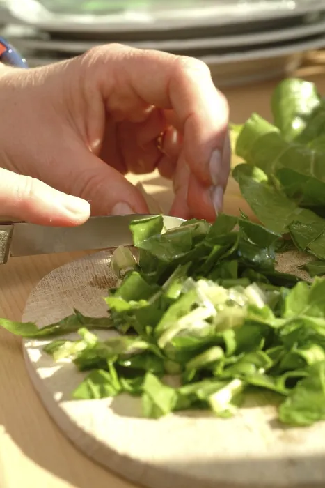 Stampa con cornice : Chard
