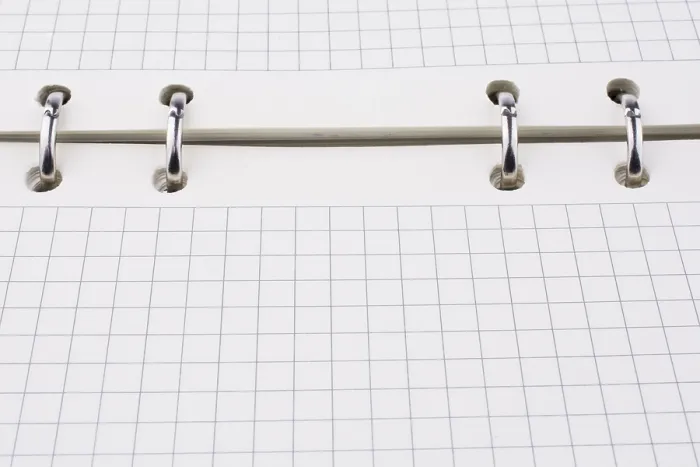 Stampa con cornice : Quaderno bianco controllato.