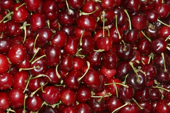 Stampa con cornice : Cherries