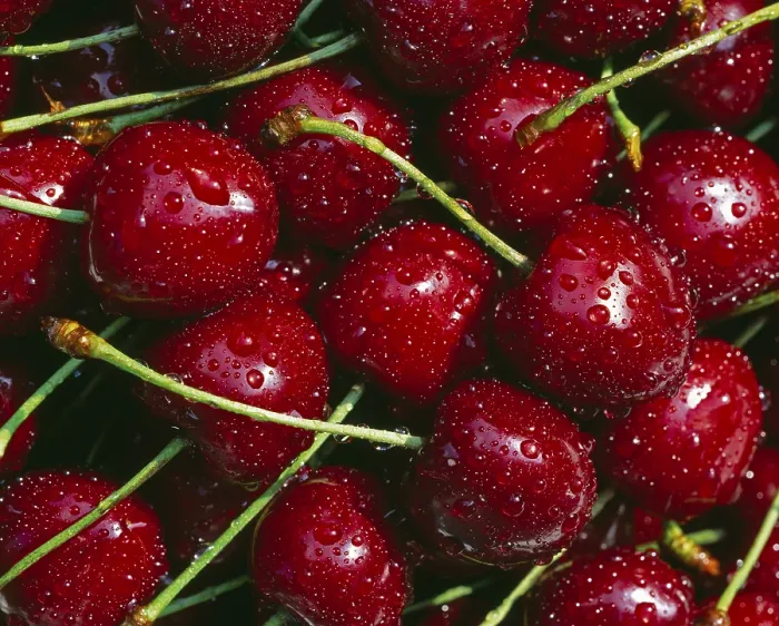 Stampa con cornice : Cherries