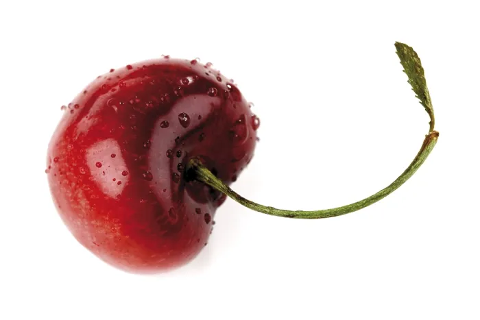 Stampa con cornice : Cherry