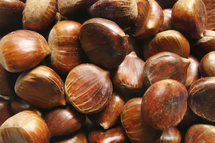 Stampa con cornice : Chestnuts Stampa con cornice : Chestnuts