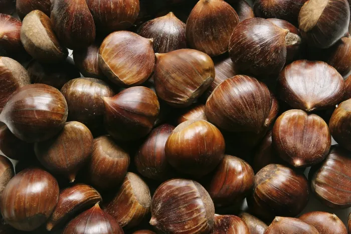 Stampa con cornice : Chestnuts Stampa con cornice : Chestnuts