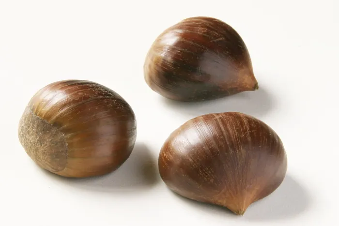 Stampa con cornice : Chestnuts Stampa con cornice : Chestnuts