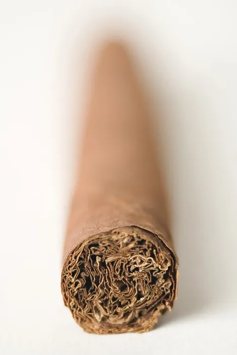 Stampa con cornice : Cigar Stampa con cornice : Cigar