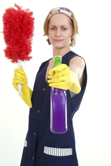Stampa con cornice : Cleaner Stampa con cornice : Cleaner
