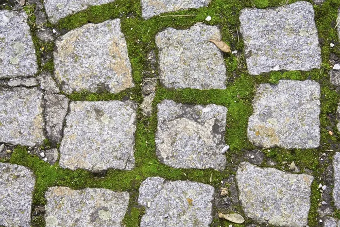 Stampa con cornice : Cobbles Stampa con cornice : Cobbles