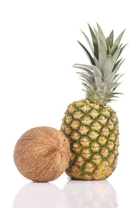 Stampa con cornice : Cocco e ananas.
