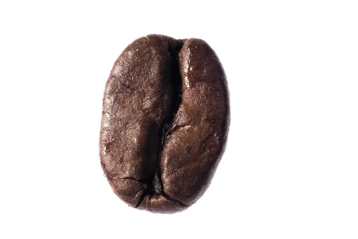 Stampa con cornice : Fava di caffè.