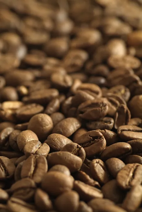 Stampa con cornice : Fagioli di caffè Stampa con cornice : Fagioli di caffè