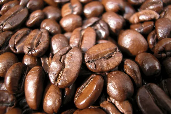 Stampa con cornice : Fagioli di caffè Stampa con cornice : Fagioli di caffè