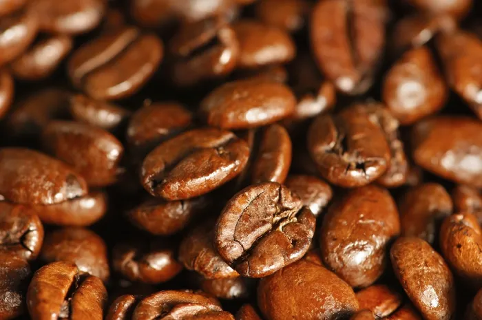 Stampa con cornice : Fagioli di caffè Stampa con cornice : Fagioli di caffè