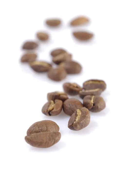 Stampa con cornice : Fagioli di caffè Stampa con cornice : Fagioli di caffè