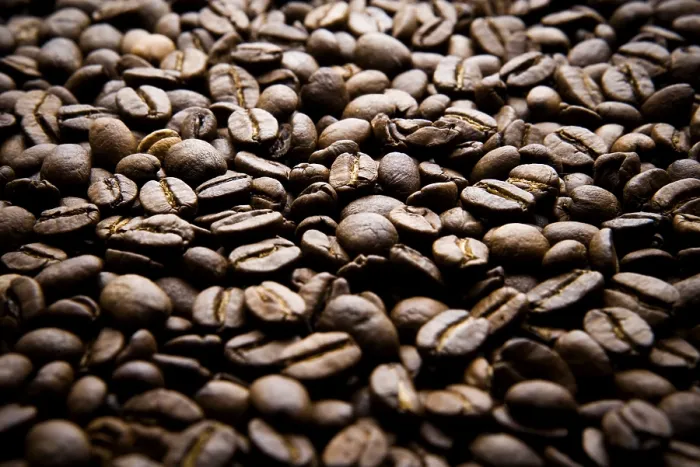 Stampa con cornice : Fagioli di caffè Stampa con cornice : Fagioli di caffè