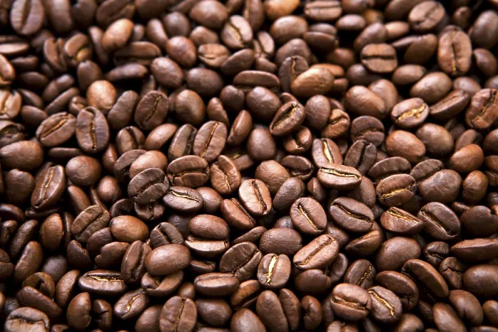 Stampa con cornice : Fagioli di caffè Stampa con cornice : Fagioli di caffè