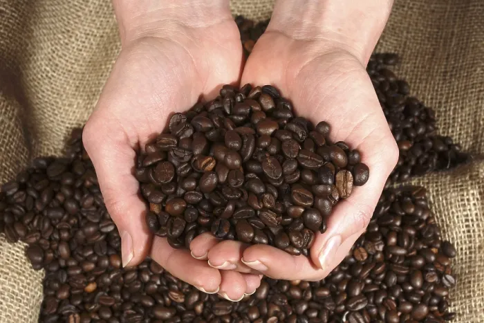Stampa con cornice : Fagioli di caffè Stampa con cornice : Fagioli di caffè
