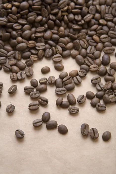 Stampa con cornice : Caffè su un foglio. Stampa con cornice : Caffè su un foglio.