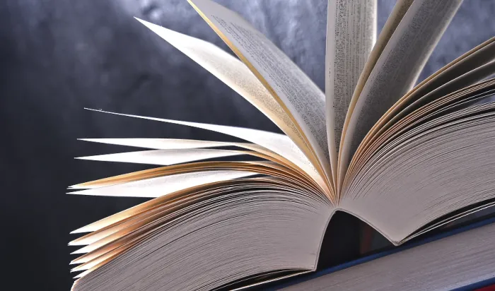 Stampa con cornice : Composizione con libro aperto.
