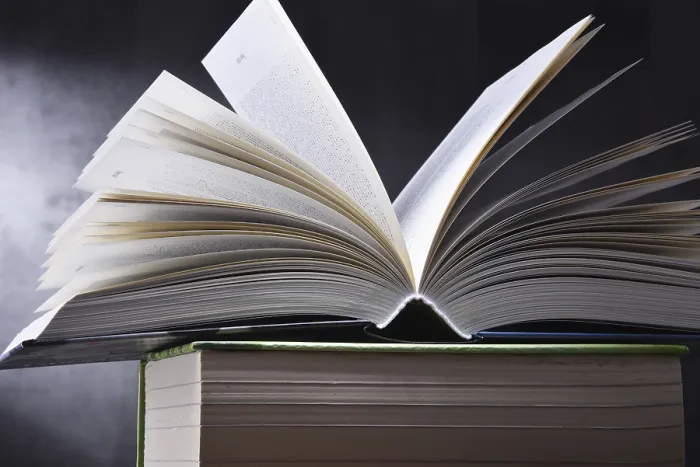 Stampa con cornice : 