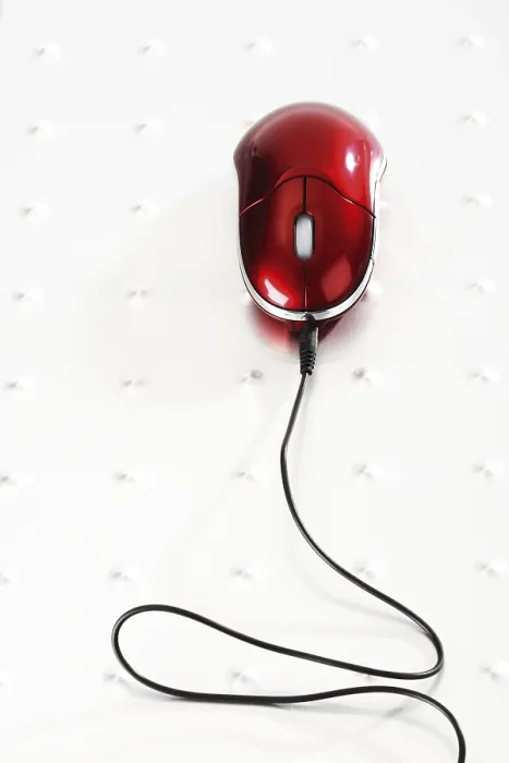 Stampa con cornice : Il mouse del computer Stampa con cornice : Il mouse del computer