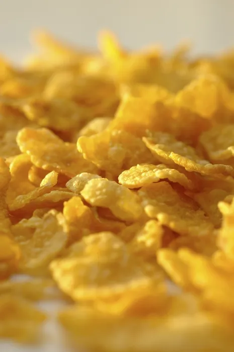 Stampa con cornice : Cornflakes Stampa con cornice : Cornflakes