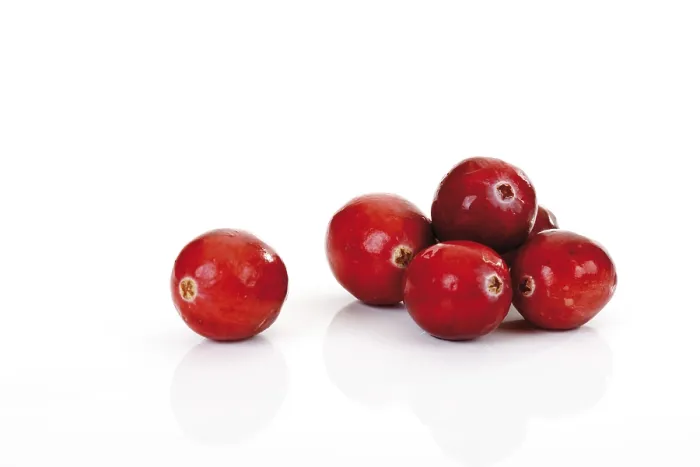 Stampa con cornice : Cranberries Stampa con cornice : Cranberries
