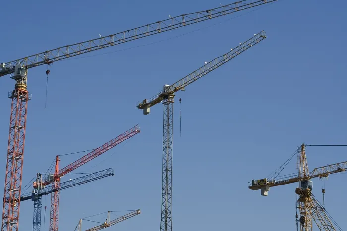 Stampa con cornice : Cranes Stampa con cornice : Cranes