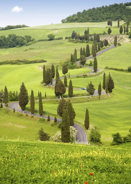 Stampa con cornice : Piena di curve.
