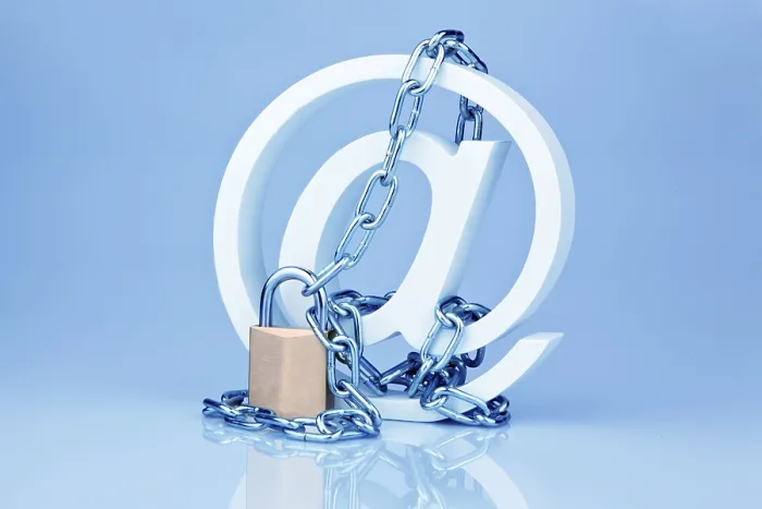 Stampa con cornice : La sicurezza dei dati sulla rete Internet. Navigazione sicura sulla rete Internet.