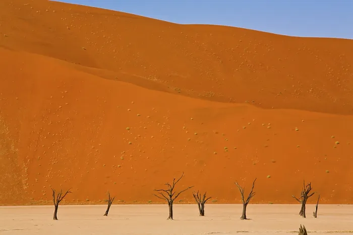Stampa con cornice : Deadvlei, Namibia