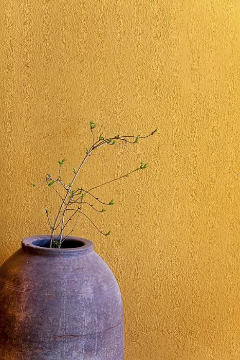 Stampa con cornice : Decoration