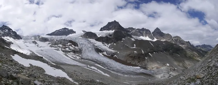 Stampa con cornice : Der Stampa con cornice : Der